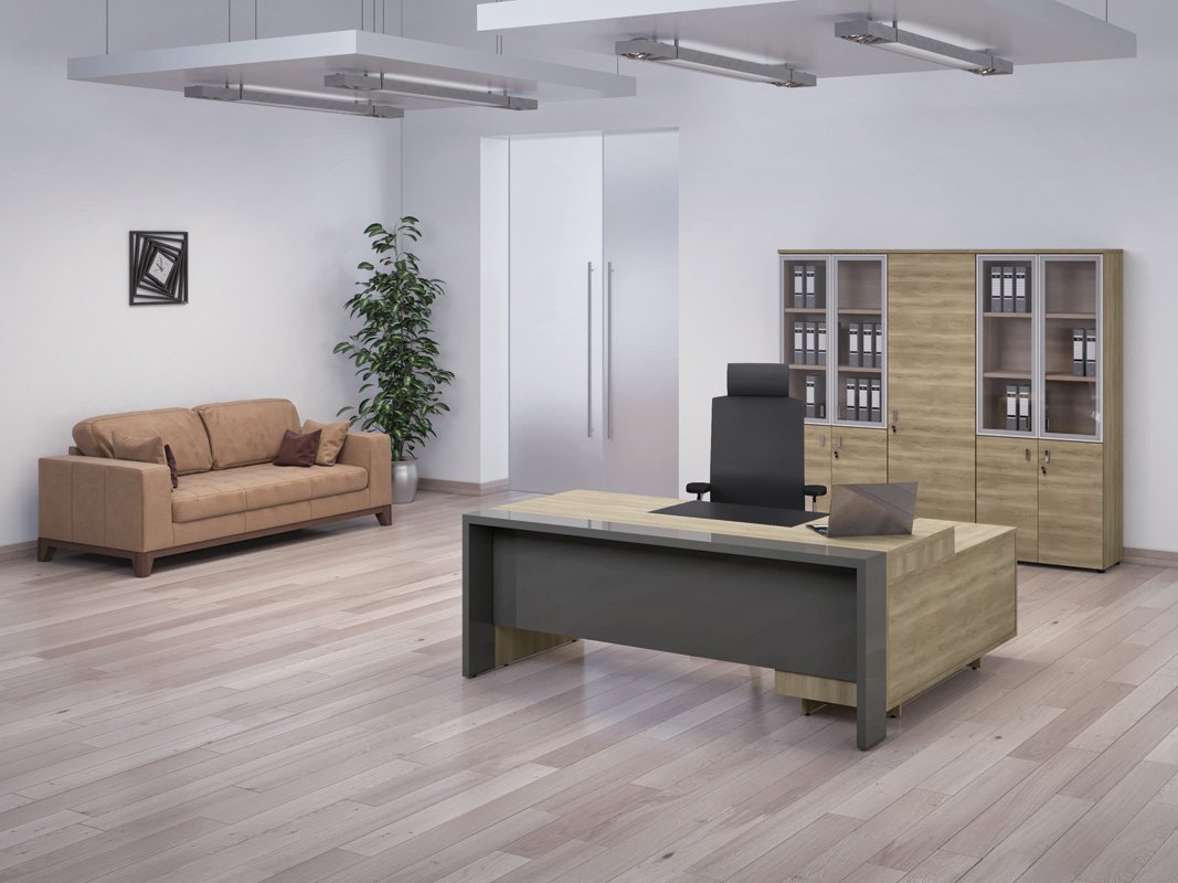 Кабинет руководителя &laquo;Lava&raquo; - вид 4